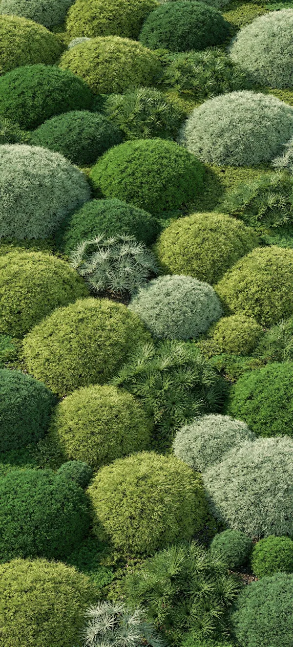 Abstract Moss Garden
