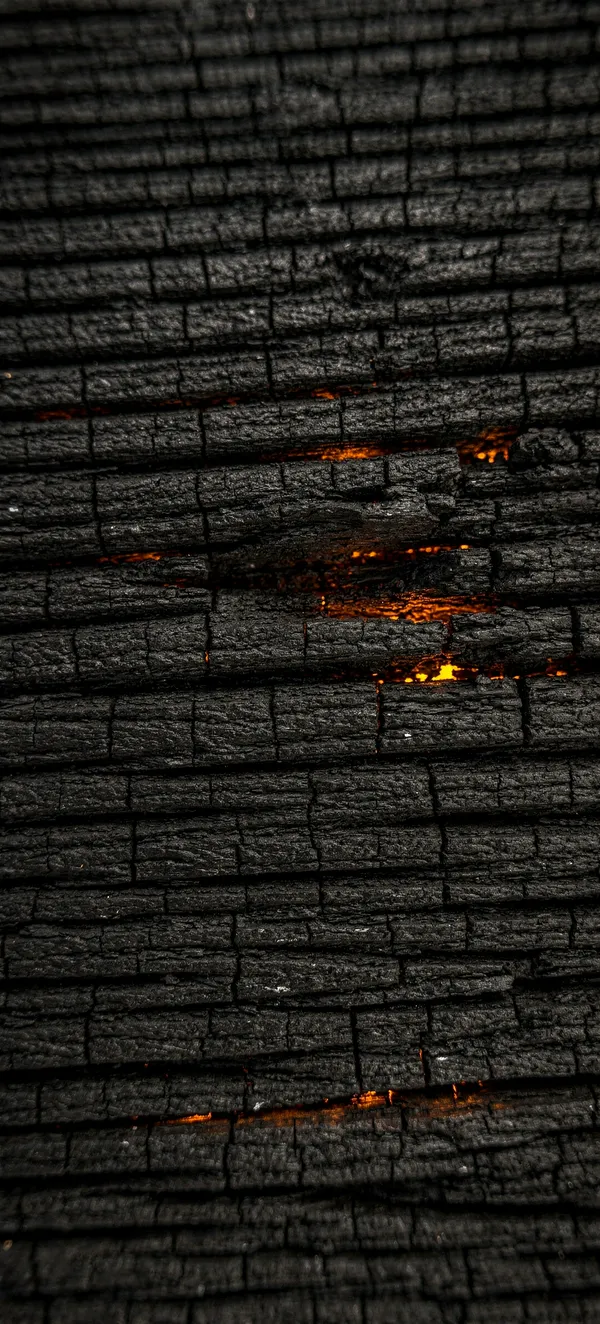 Charred Wood Texture