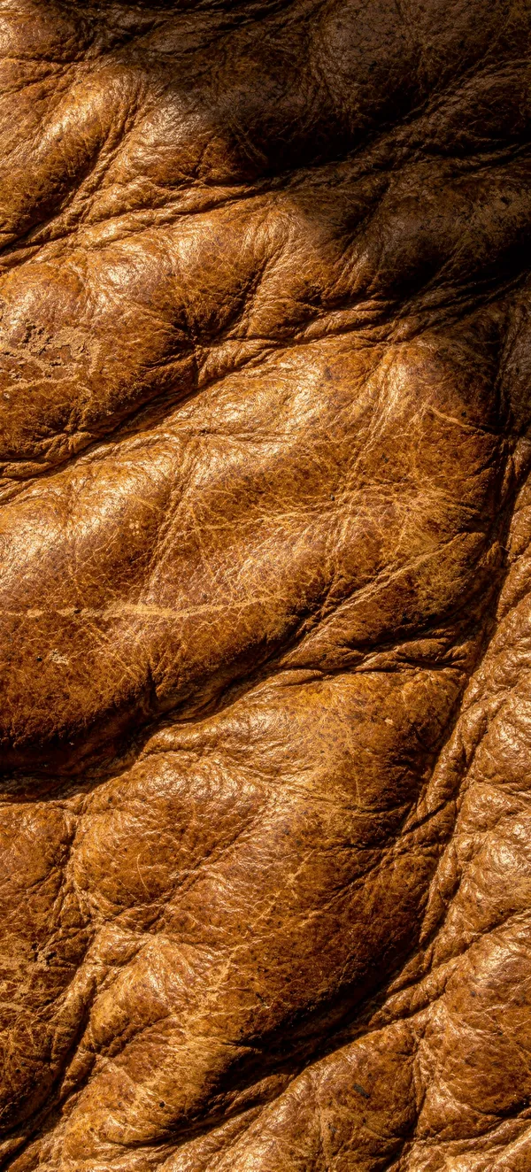 Cognac Leather Texture