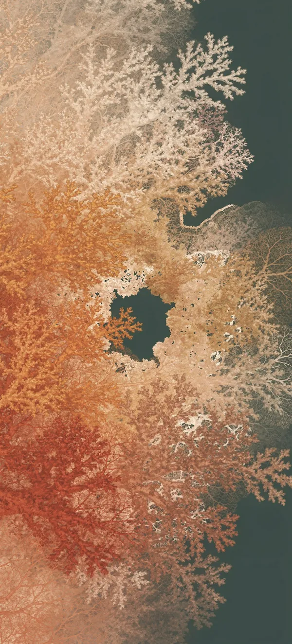 Coral Bleaching Abstract