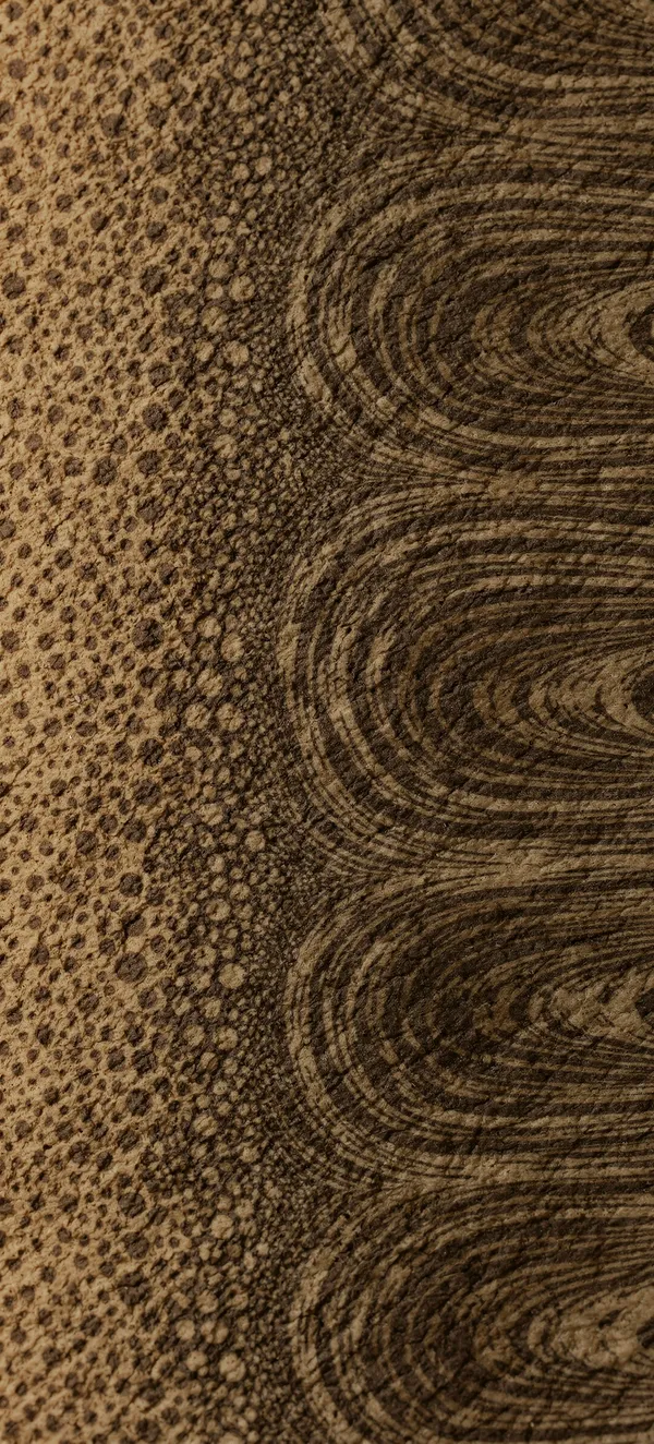 Organic Reaction Diffusion Pattern