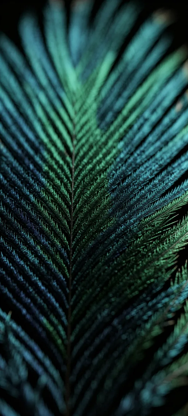 Peacock Feather Macro