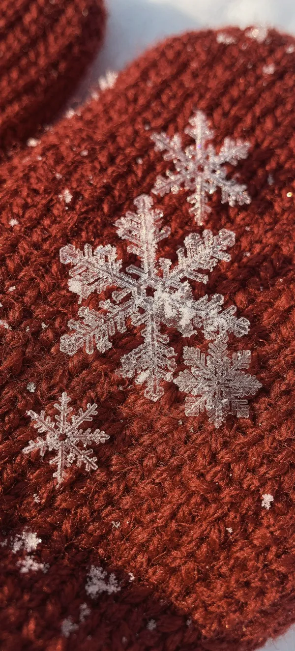 Snowflakes on Red Knit Mitten