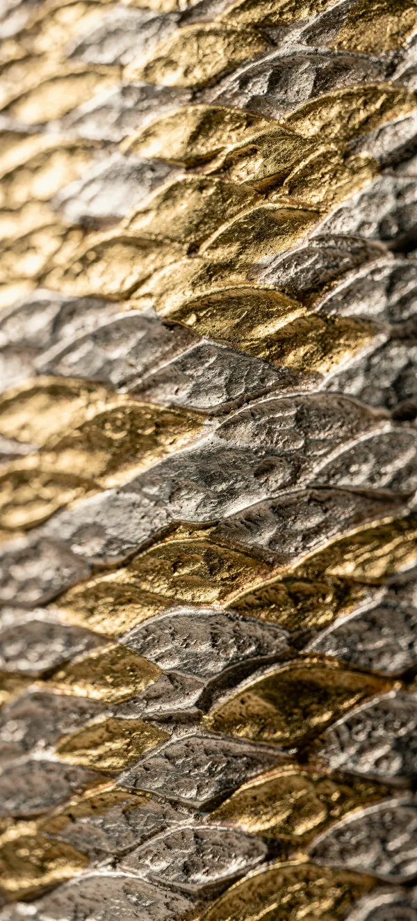 Tessellated Fish Scale Pattern