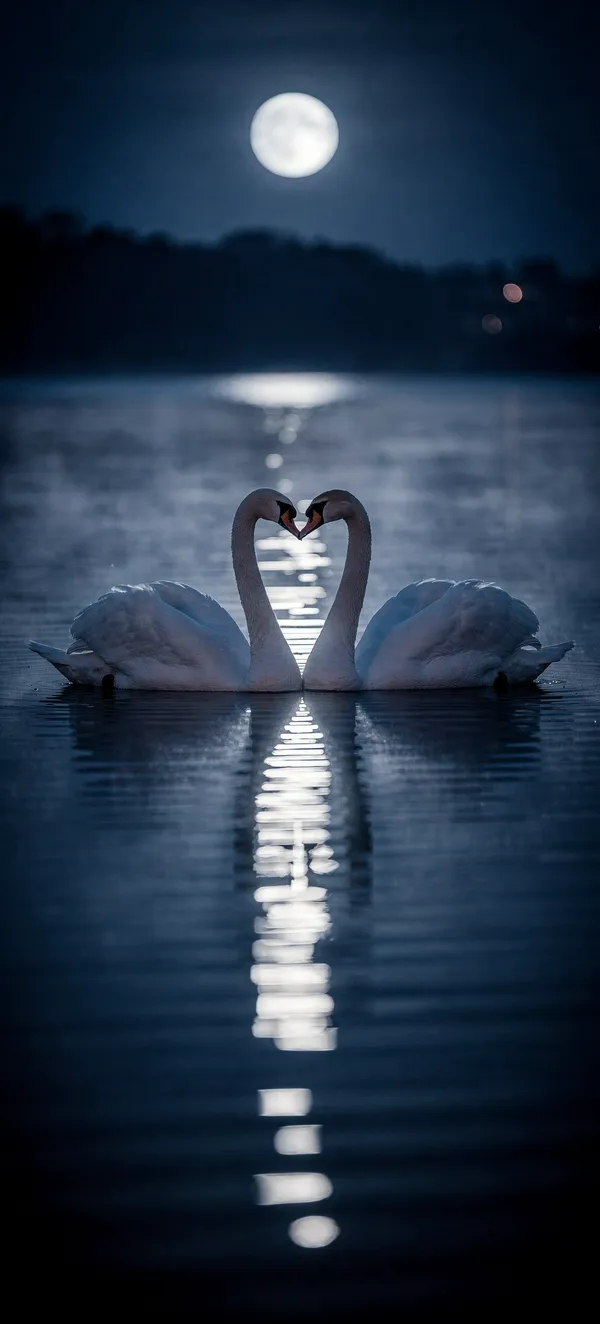 Swan Heart Lake