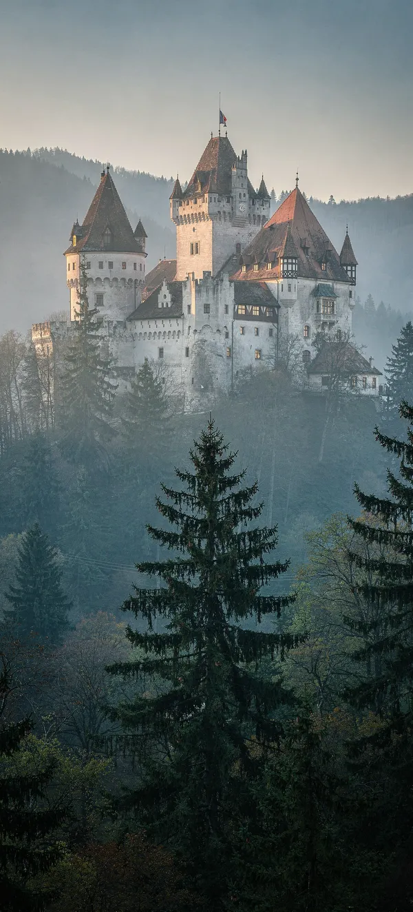 Bran Castle Misty Morning