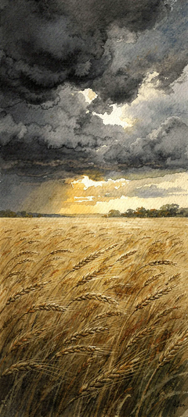 Stormy Watercolor Wheat Field