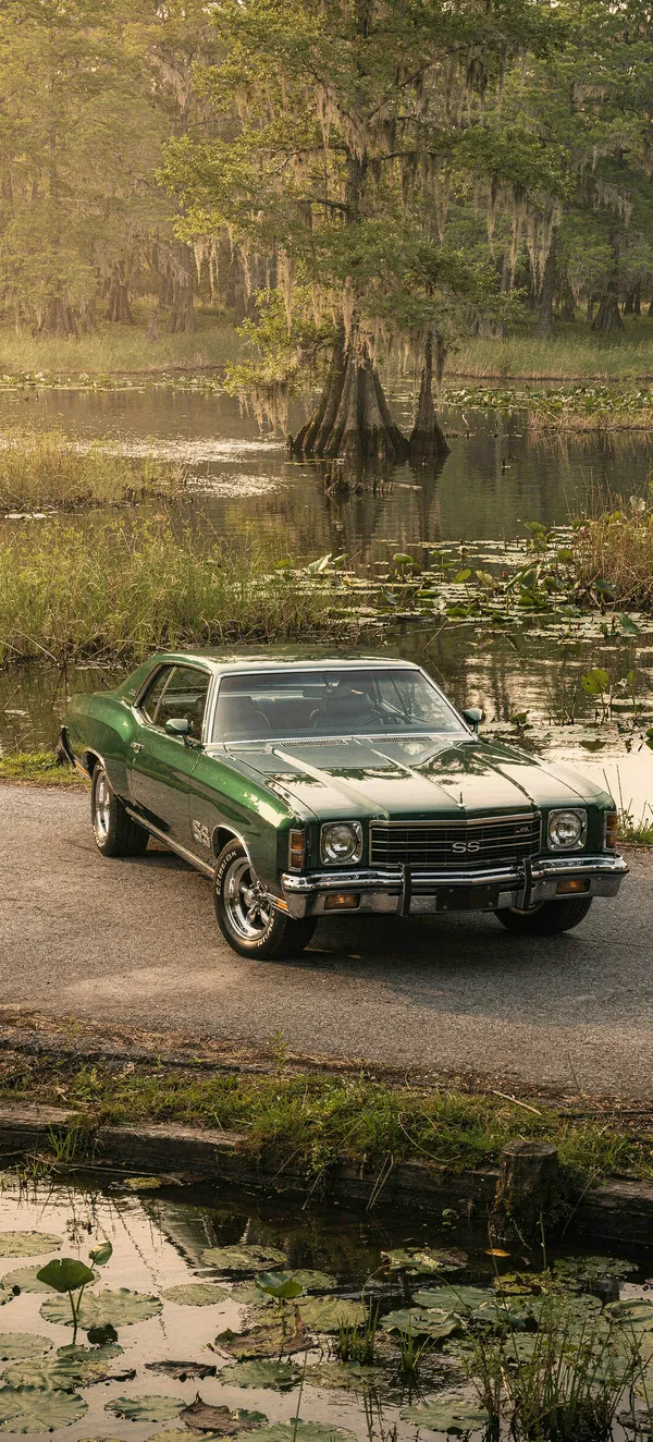 1972 Chevrolet Monte Carlo SS Bayou
