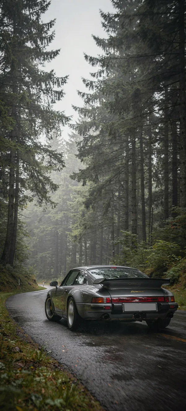 Porsche 911 Sport Classic in Forest