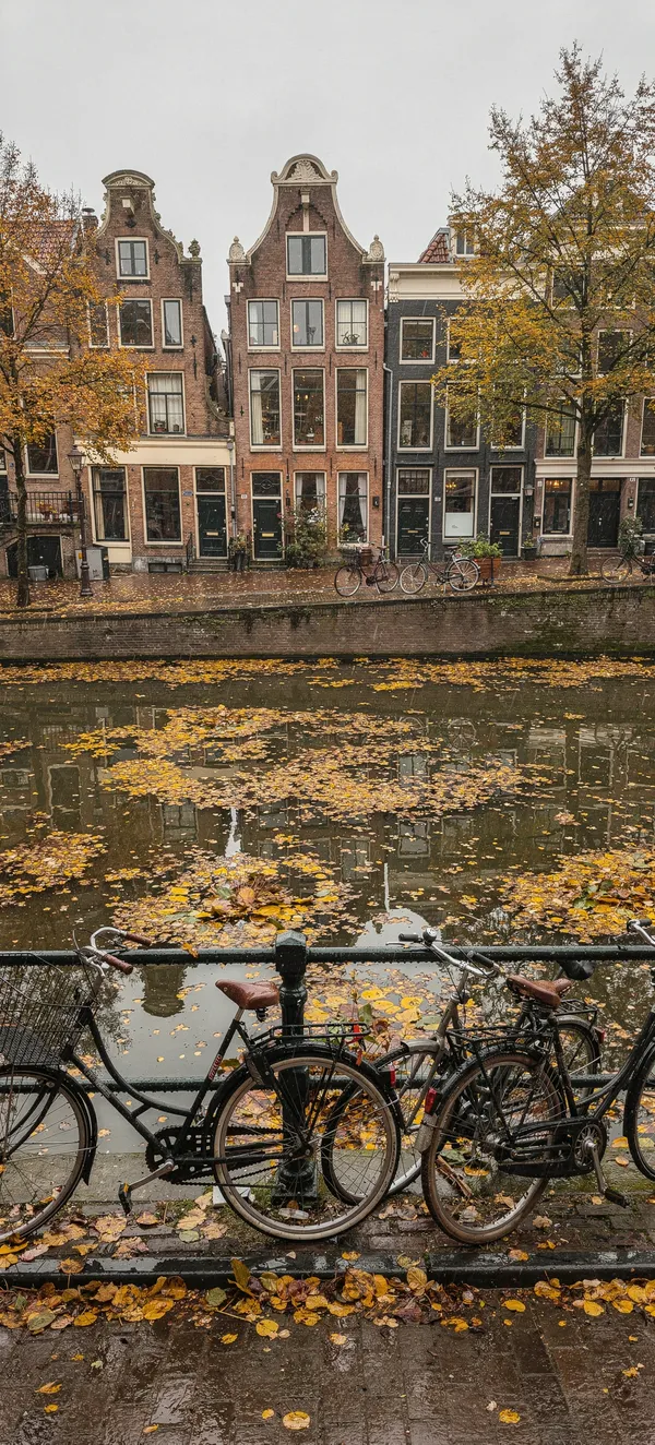 Amsterdam Canal Autumn