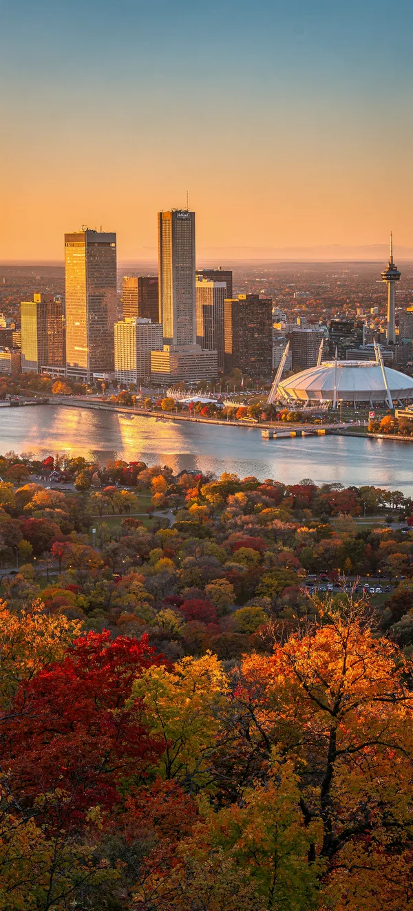 Montreal Autumn Sunset