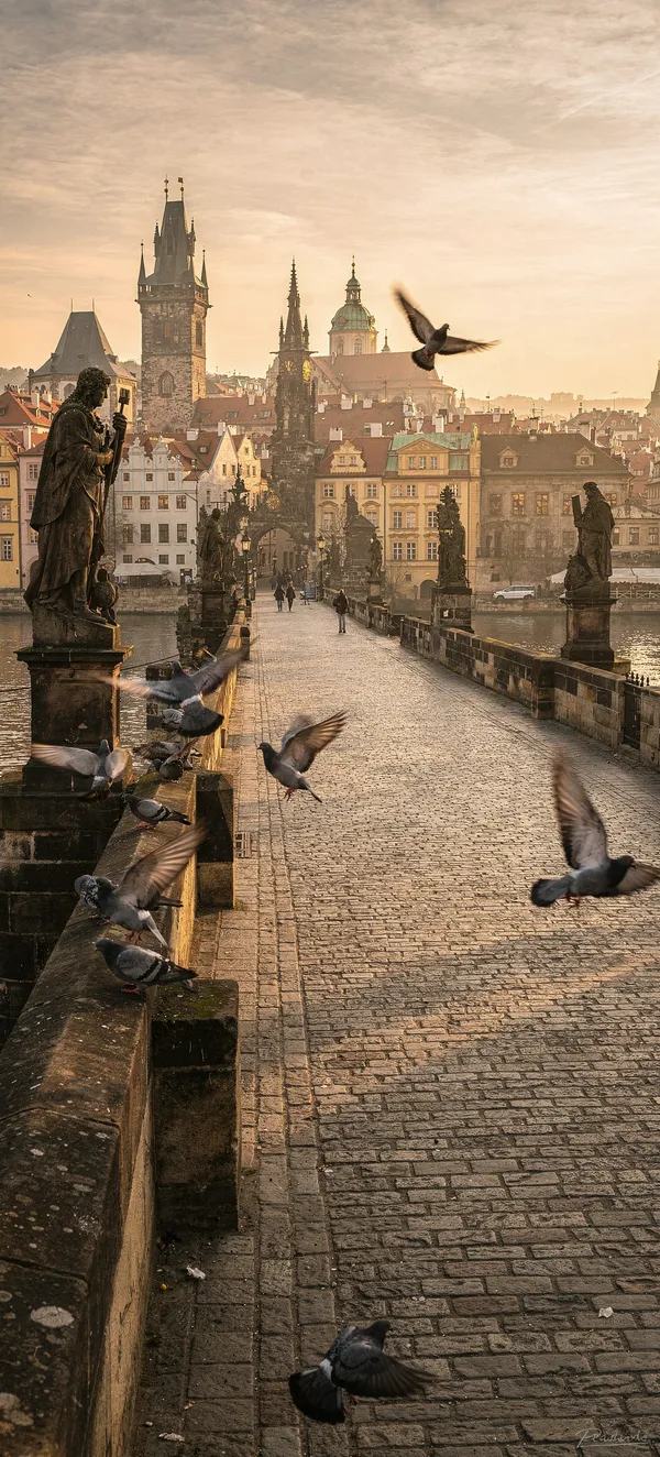 Prague Charles Bridge Golden Hour
