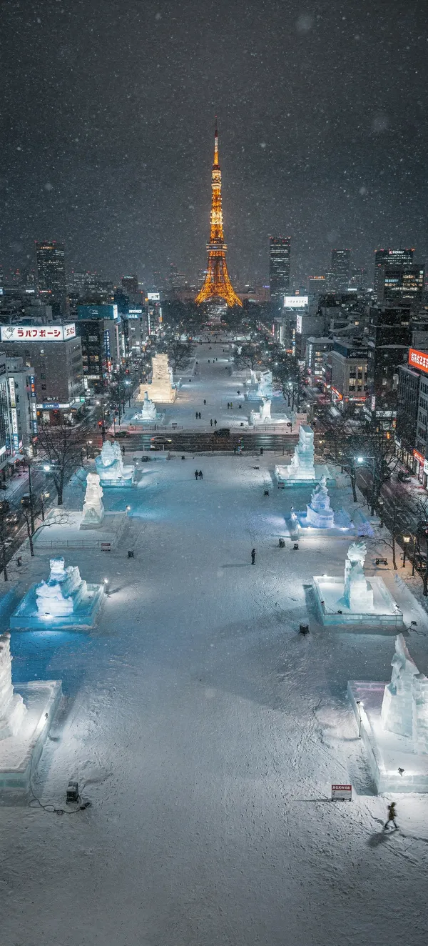 Sapporo Winter Night