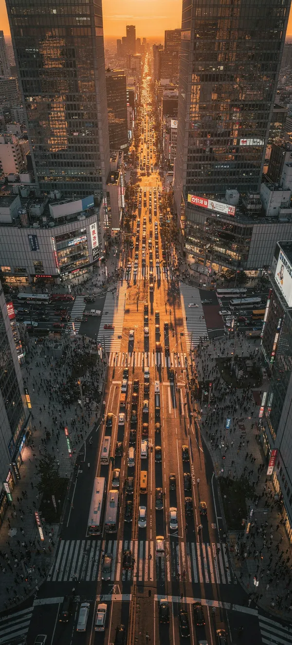 Tokyo Urban Sunset