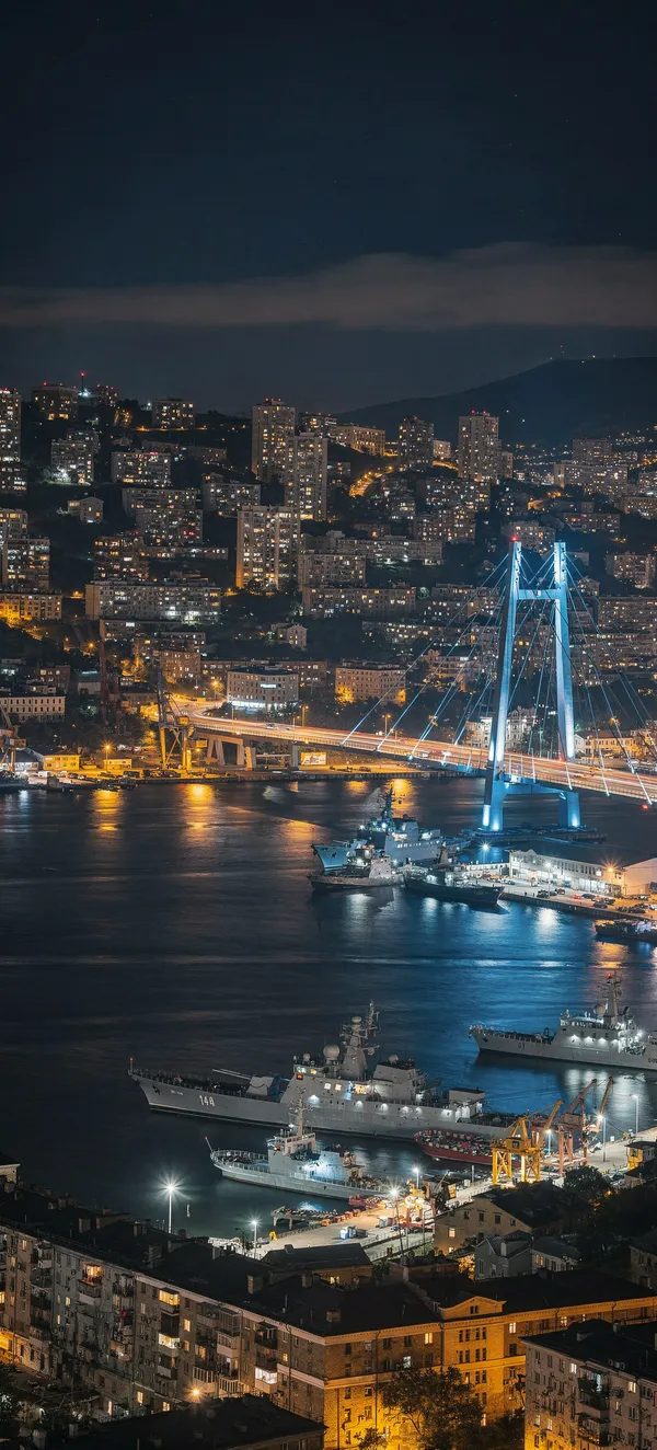 Vladivostok Night Harbor