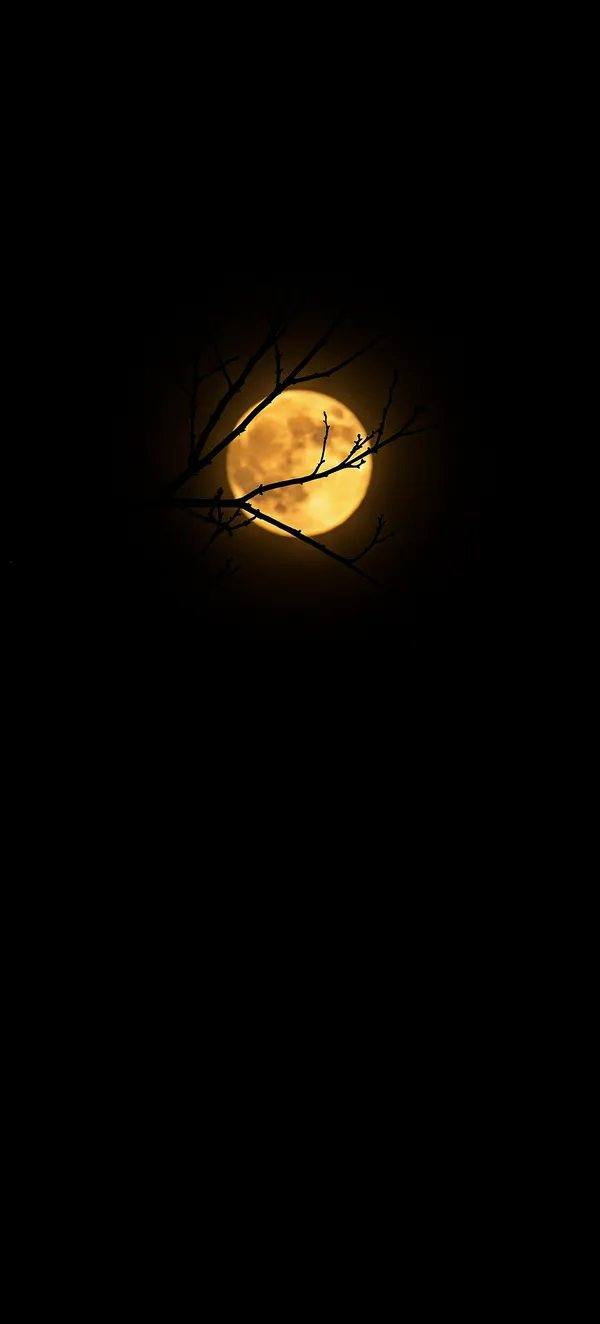 Hunter’s Moon 2026: Amber Moon AMOLED