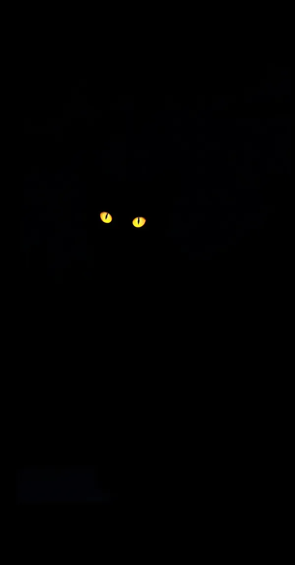 Amoled Cat Silhouette