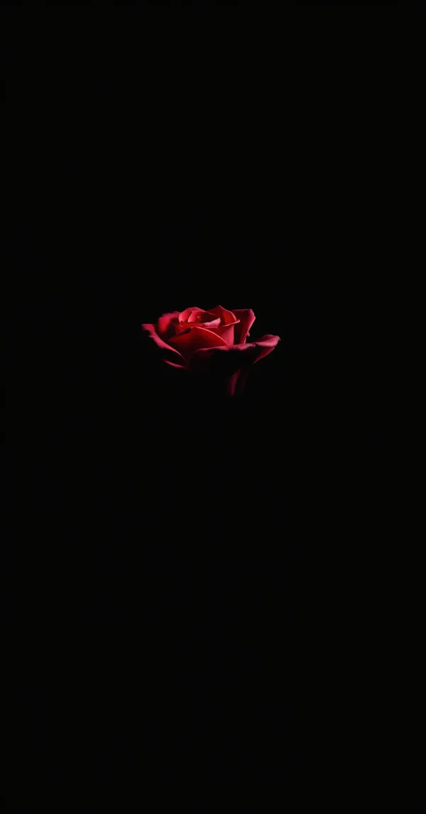 Amoled Rose Dark