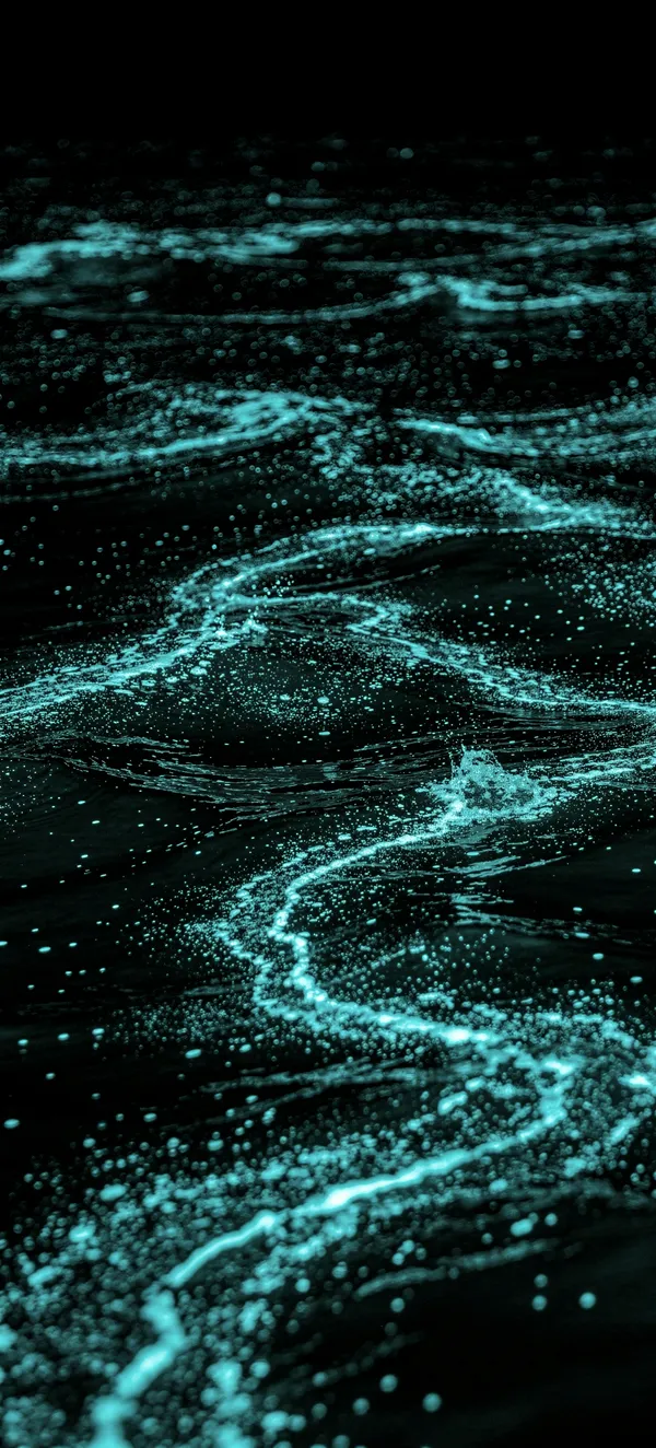 Bioluminescent Bay