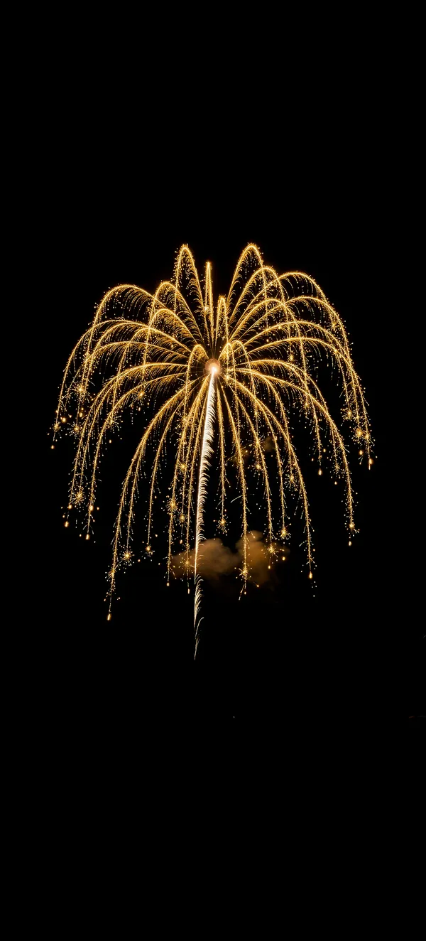 Bonfire Night 2026: Golden Willow Firework AMOLED