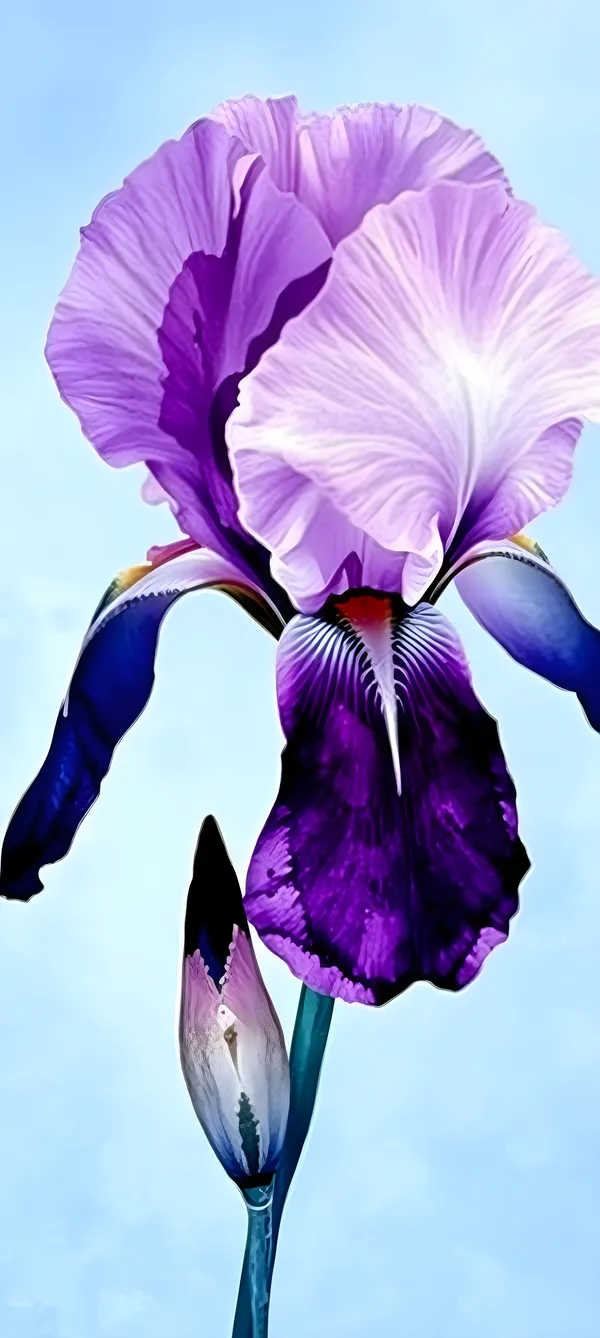 Watercolor Iris Melt