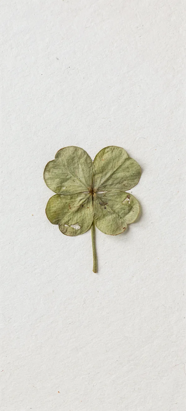 Minimal Four-Leaf Clover