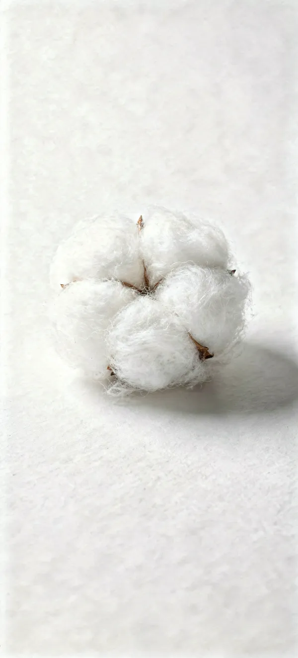 White Cotton Minimal Sphere