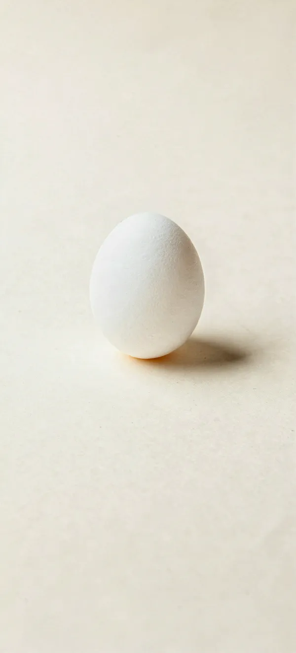Minimal White Egg