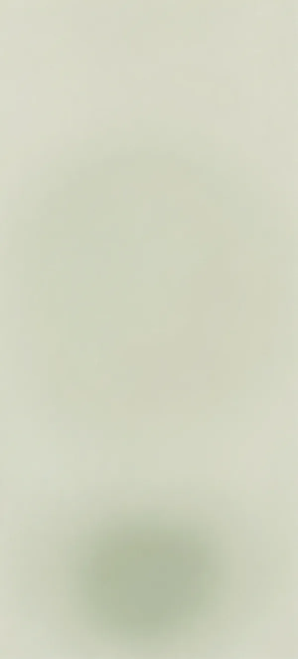 Pale Sage Circle — Home screen