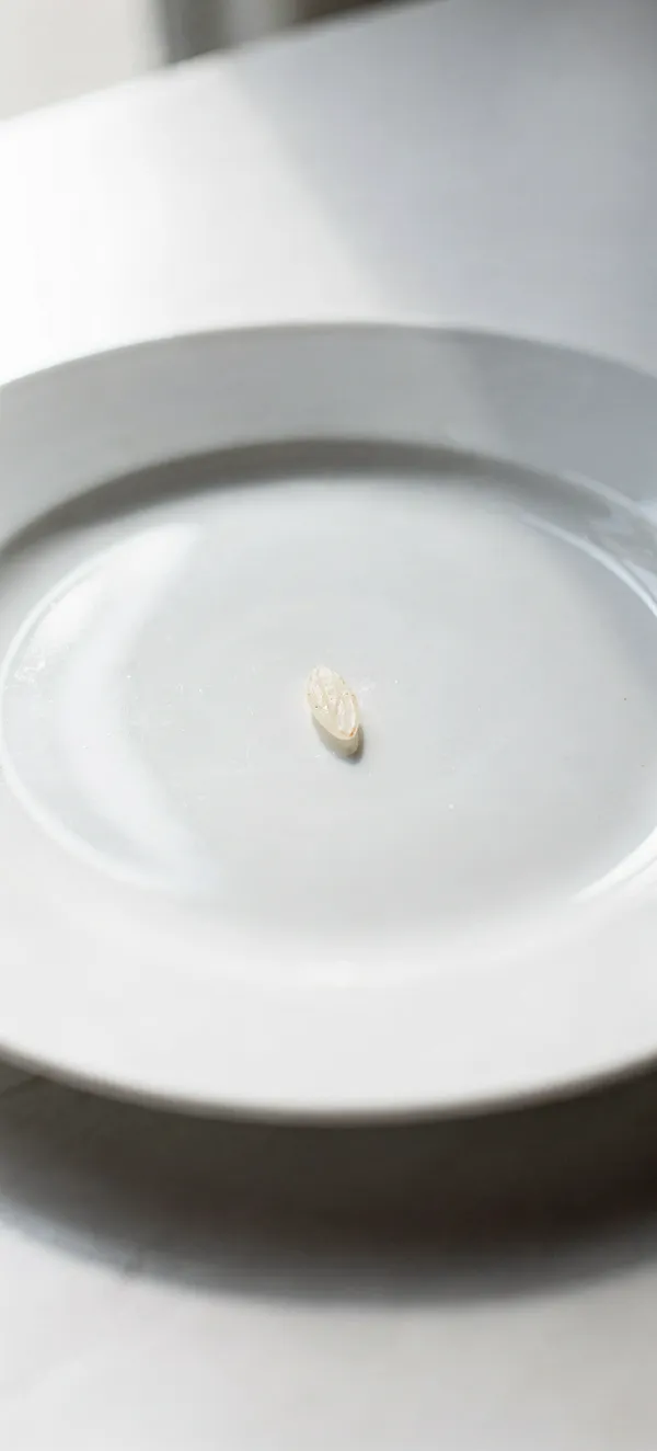 Single Grain Rice Minimal