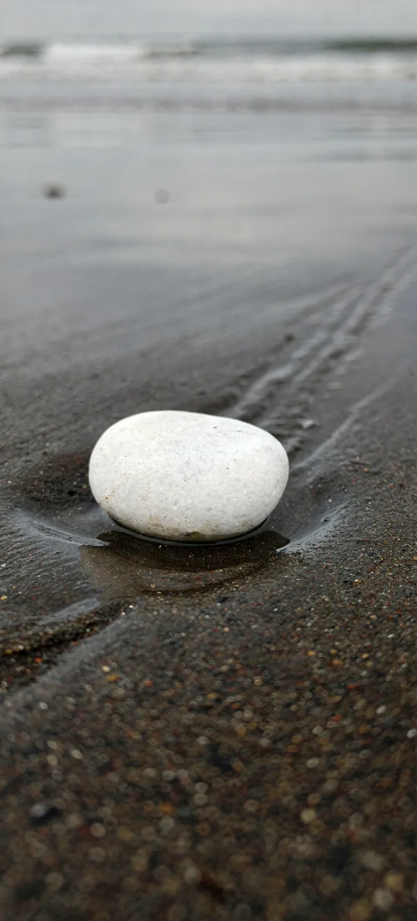 White Pebble on Wet Sand