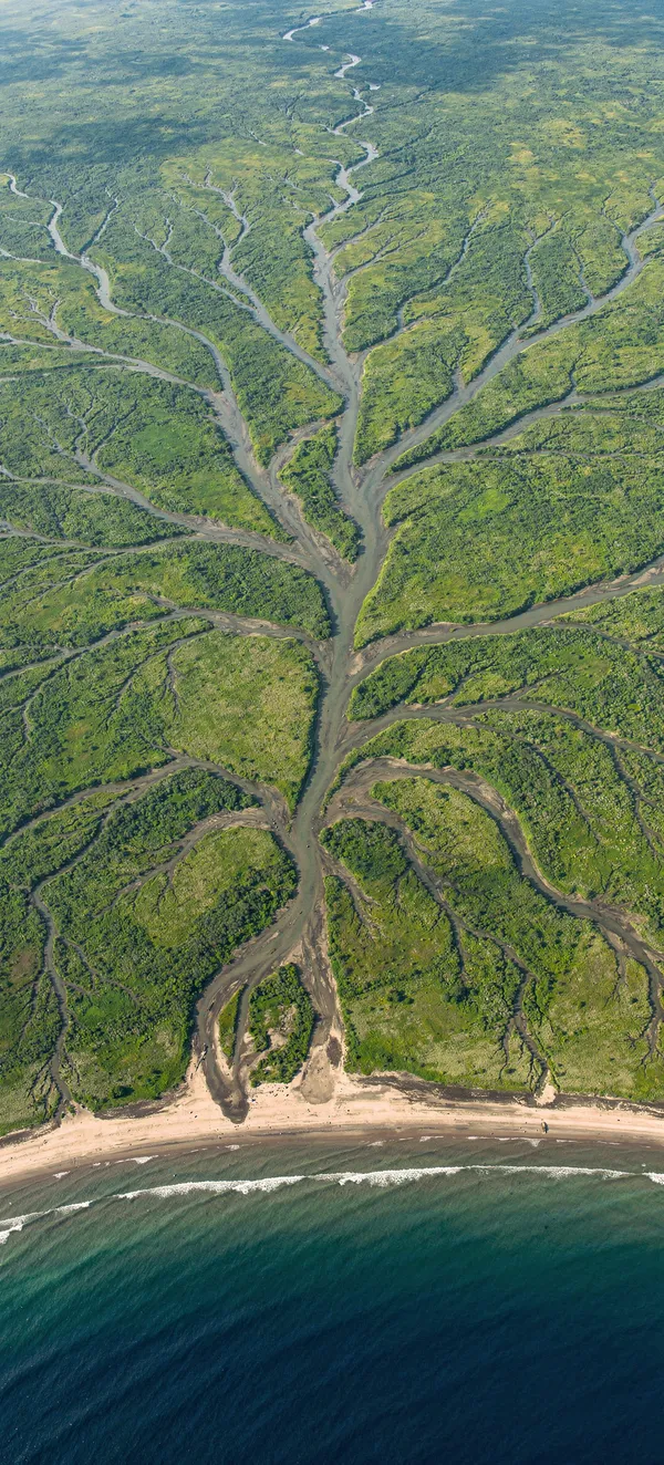 Delta Landscape