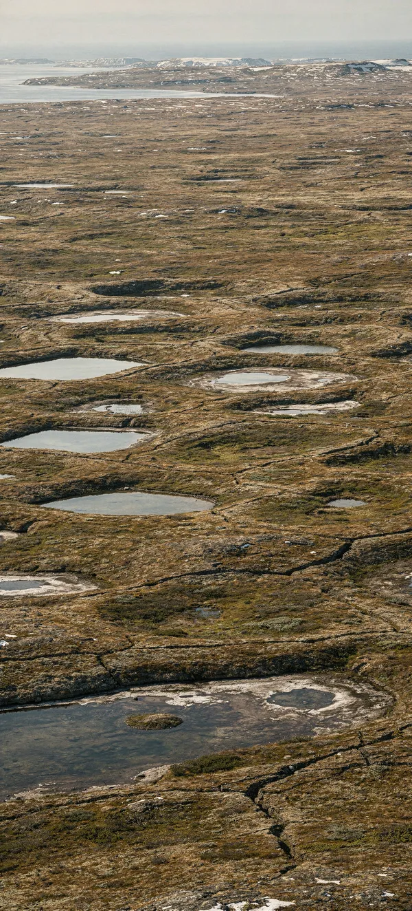 Arctic Permafrost Polygons — Home screen