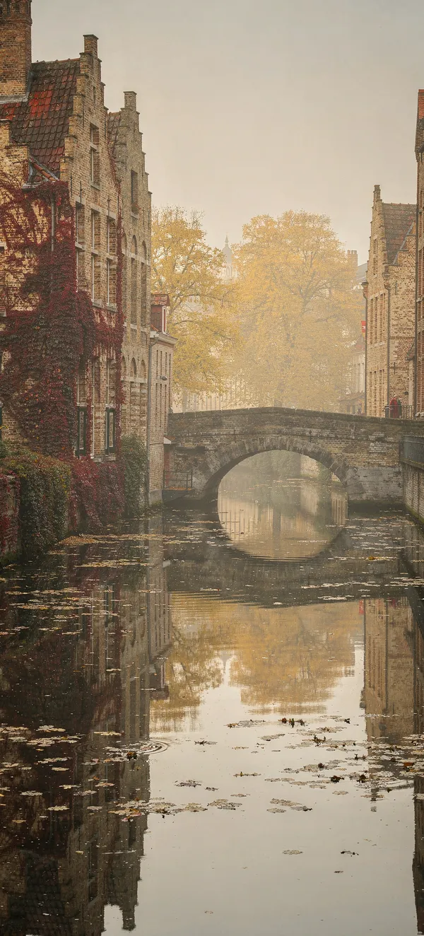 Bruges Autumn Canal
