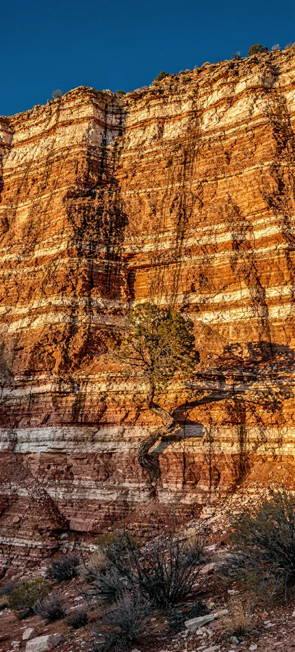 Desert Cliff Layers Landscape