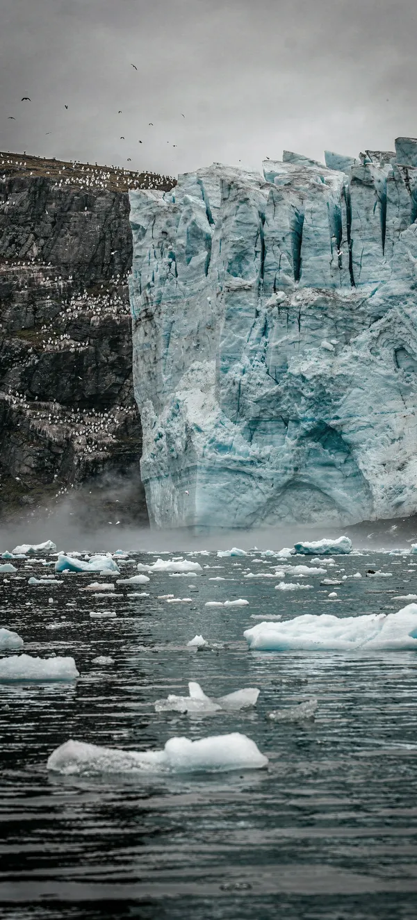 Glacier Terminus Ocean