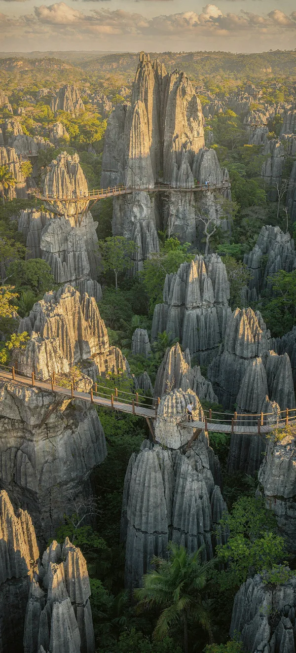 Tsingy Stone Forest Landscape