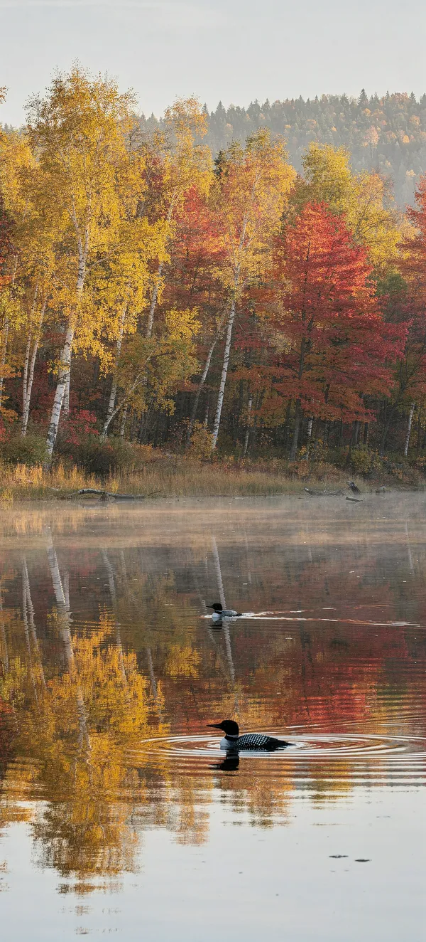Autumn Lake Reflection