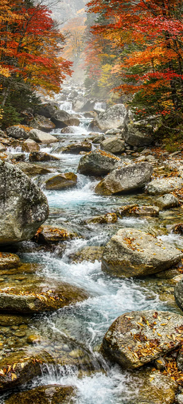 Autumn Mountain Stream