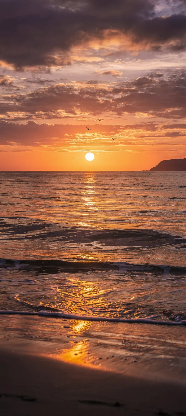 Sea Sunset Landscape