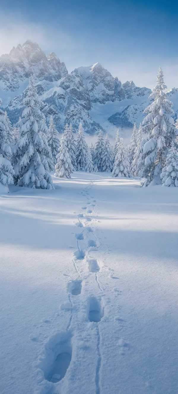 Alpine Winter Wilderness