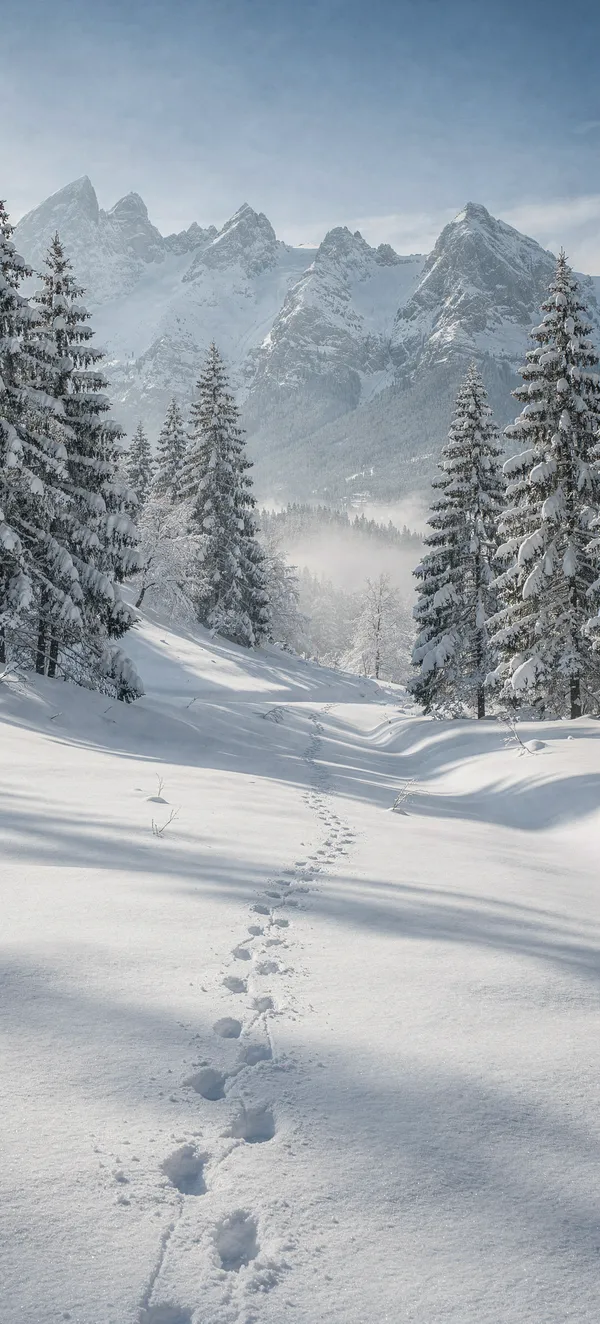 Snowy Mountain Valley