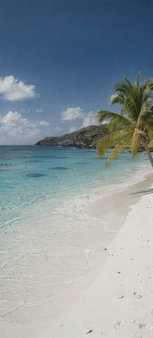 Tropical Beach Paradise