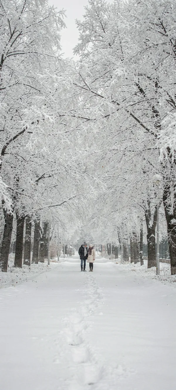 Winter Romance Park Walk