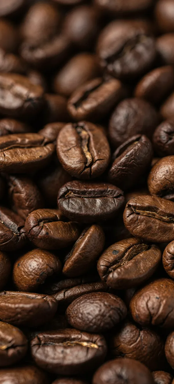 Coffee Beans Close-up