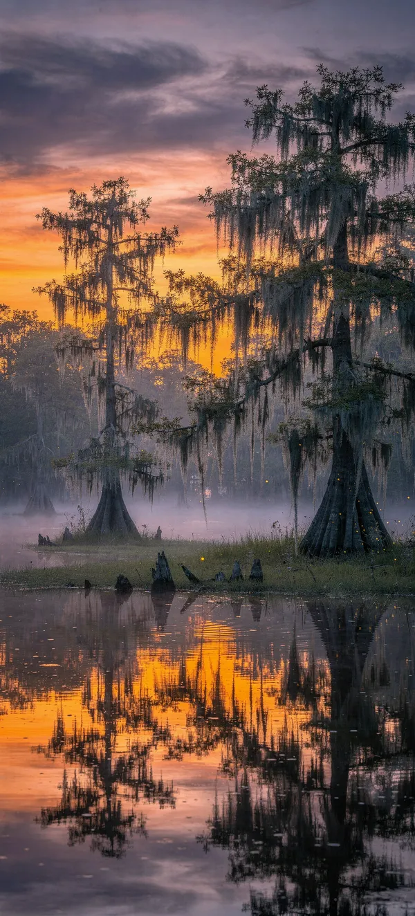 Louisiana Bayou Sunset