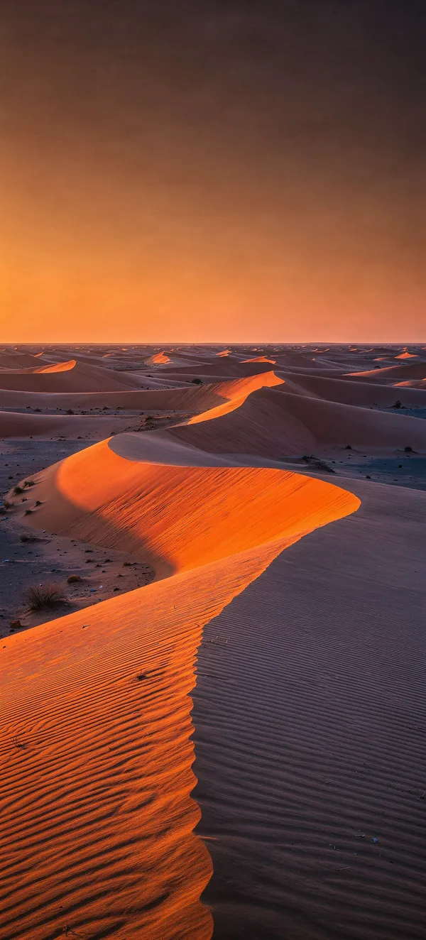 Namib Desert Sunset