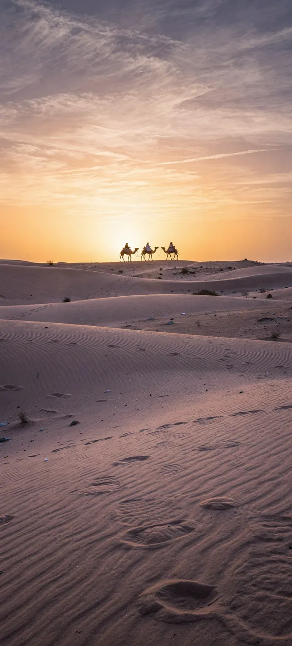 Golden Desert Sunset