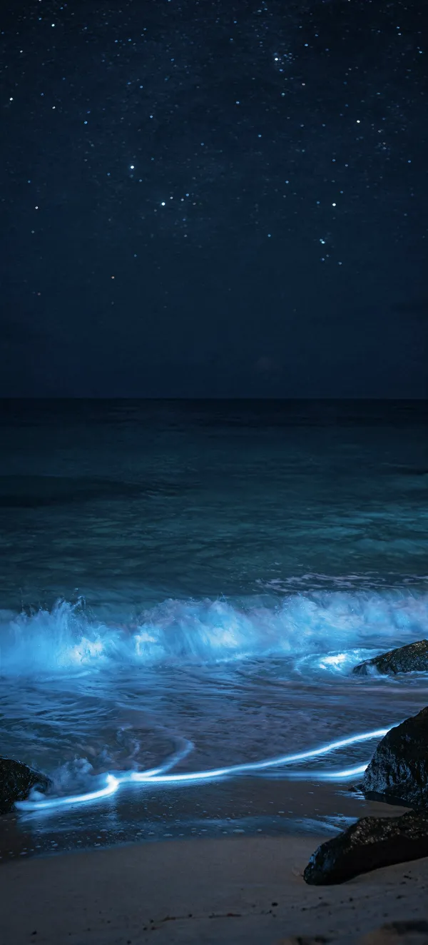 Bioluminescent Tropical Sea — Home screen