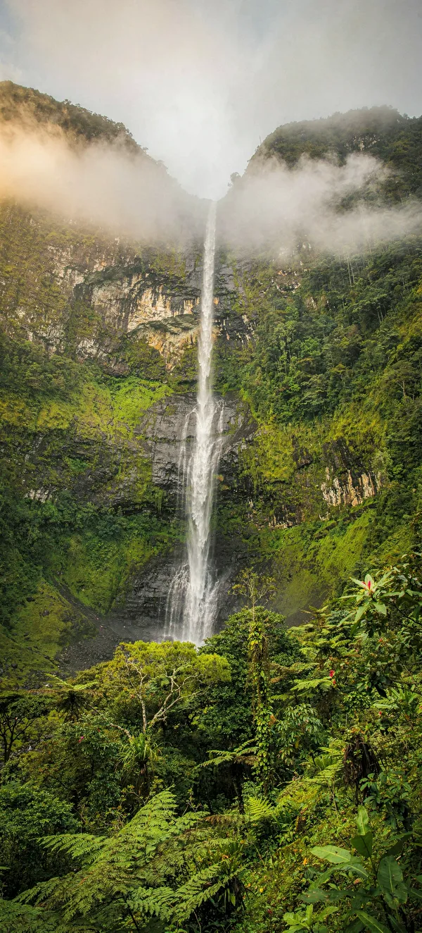Gocta Cataracts Cloud Forest